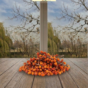 Sea Buckthorn Dried Berries